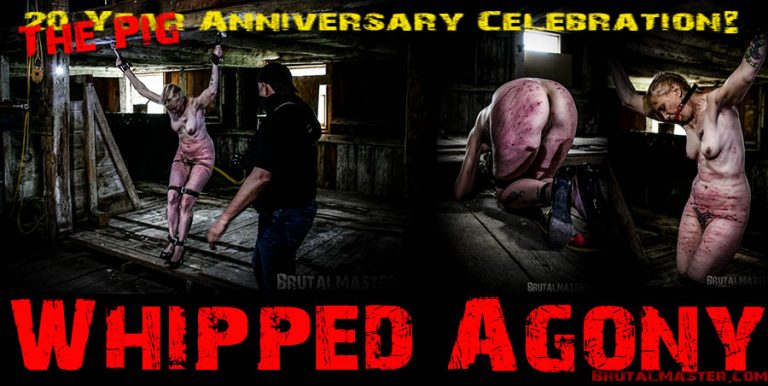 The Pig - Whipped Agony