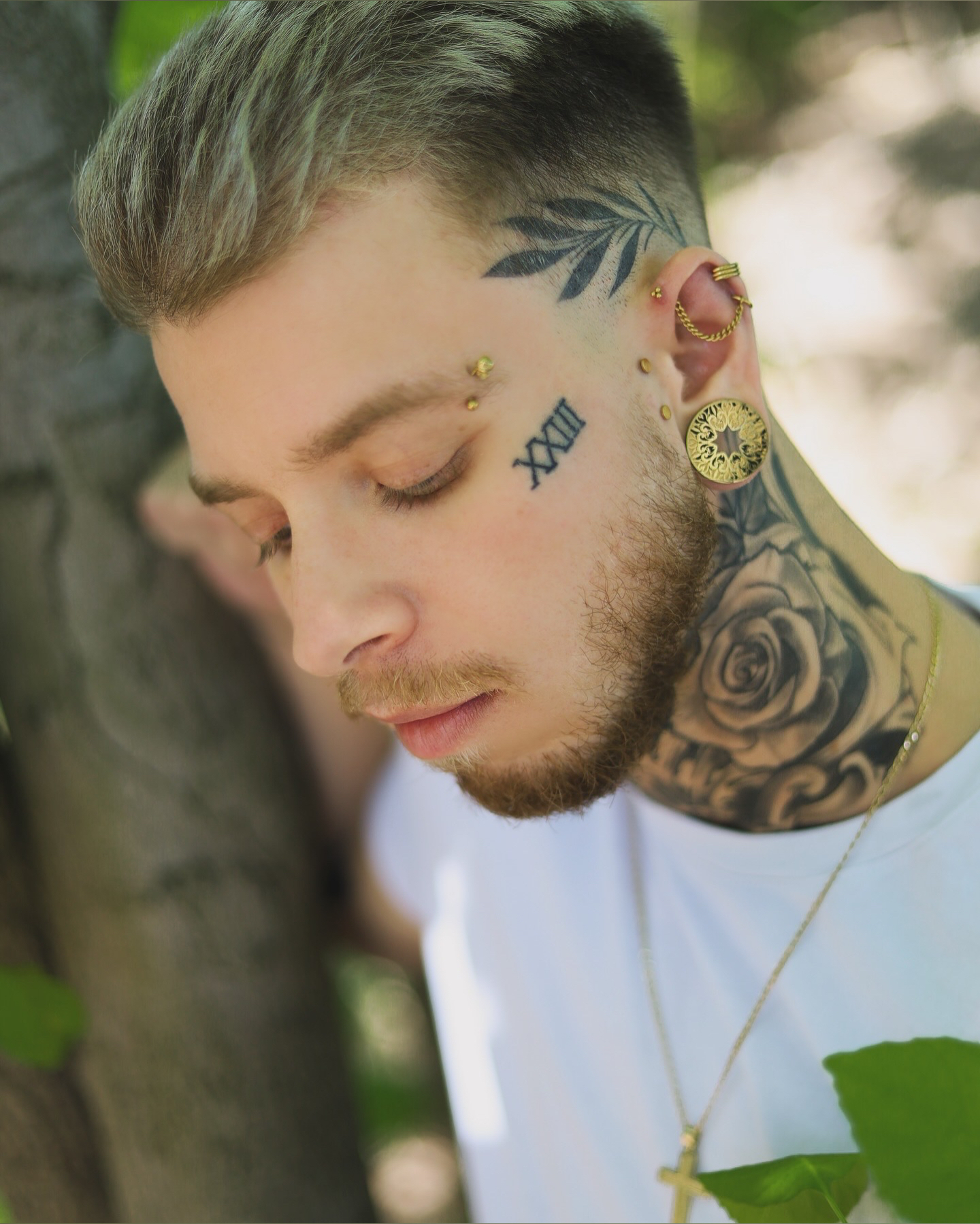 Atlas Alexander Gorge profonde