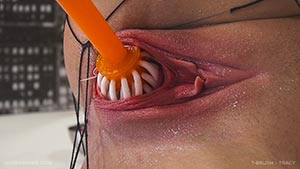 TOILET BRUSH - TRACY