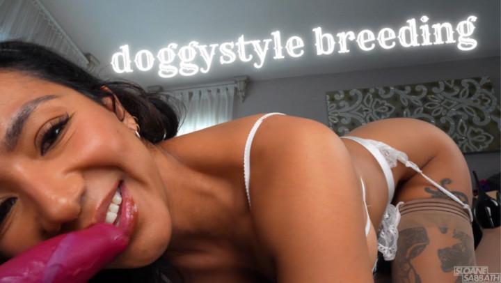 Doggystyle Breeding