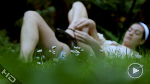 des fleurs 2