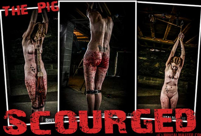 Pig - Scourged