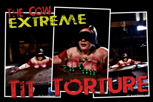 Slave Cow - Extreme Tit Torture
