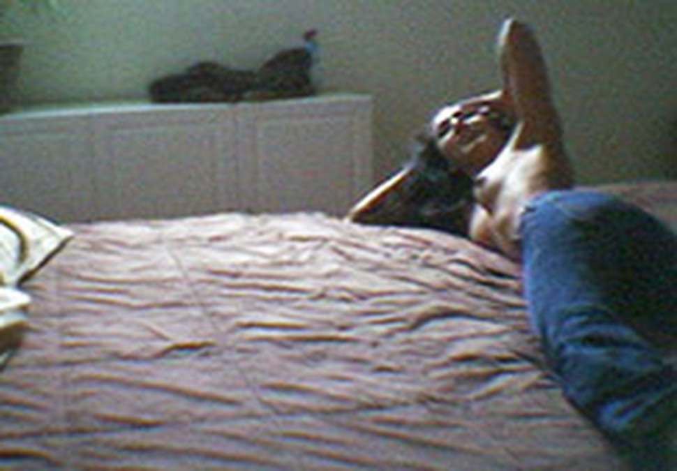 Young, Dumb And Full Of Cheating Cum