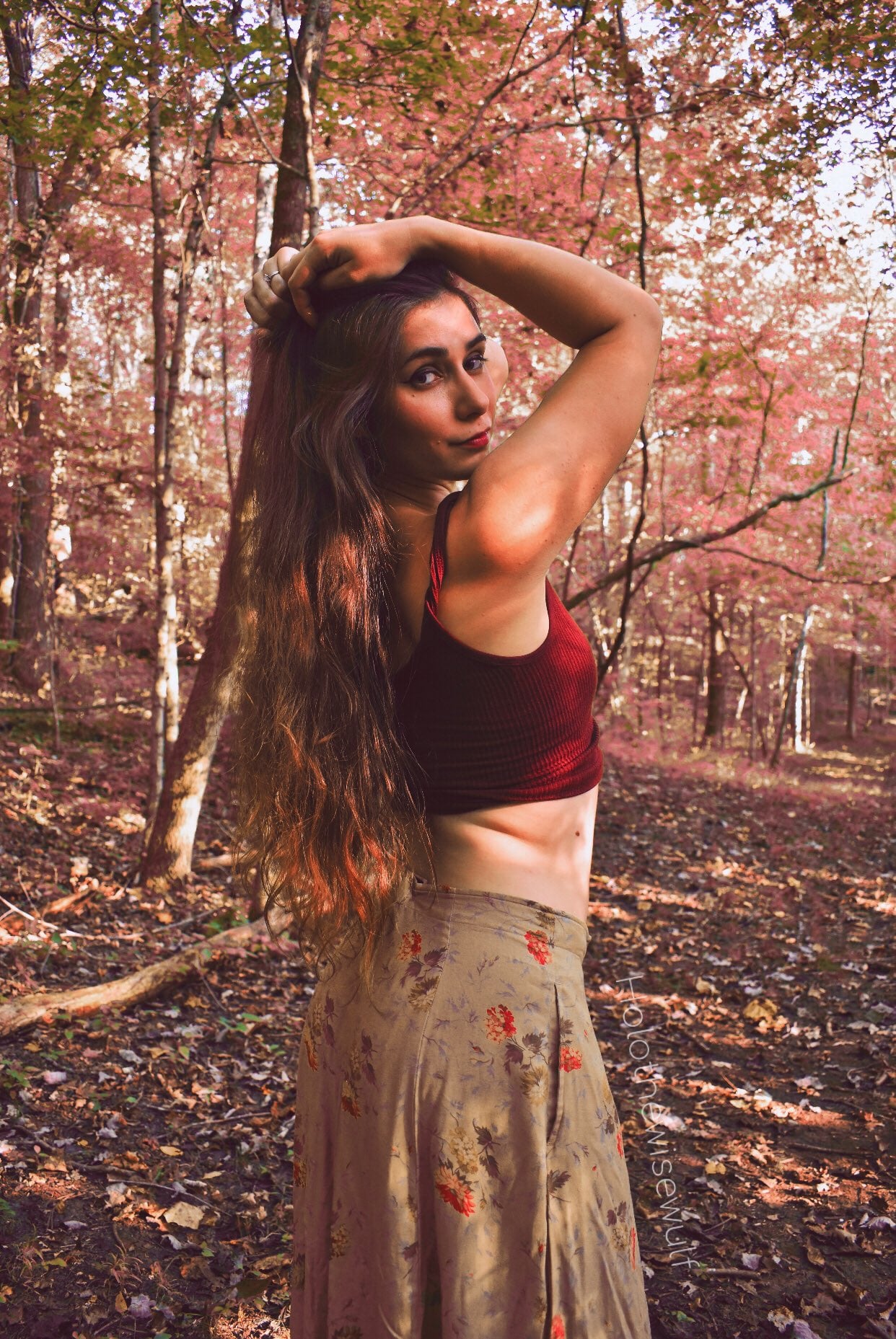 Photo HD HoloWulf - 2