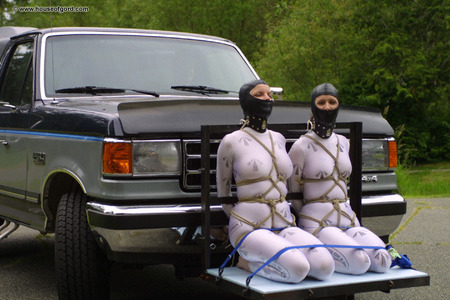 Trussed-Trunked & Trucked - Part 2