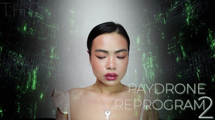 PAYDRONE REPROGRAM 2