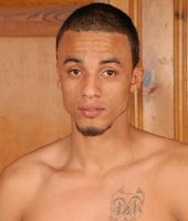 King Dingo Papi Cock