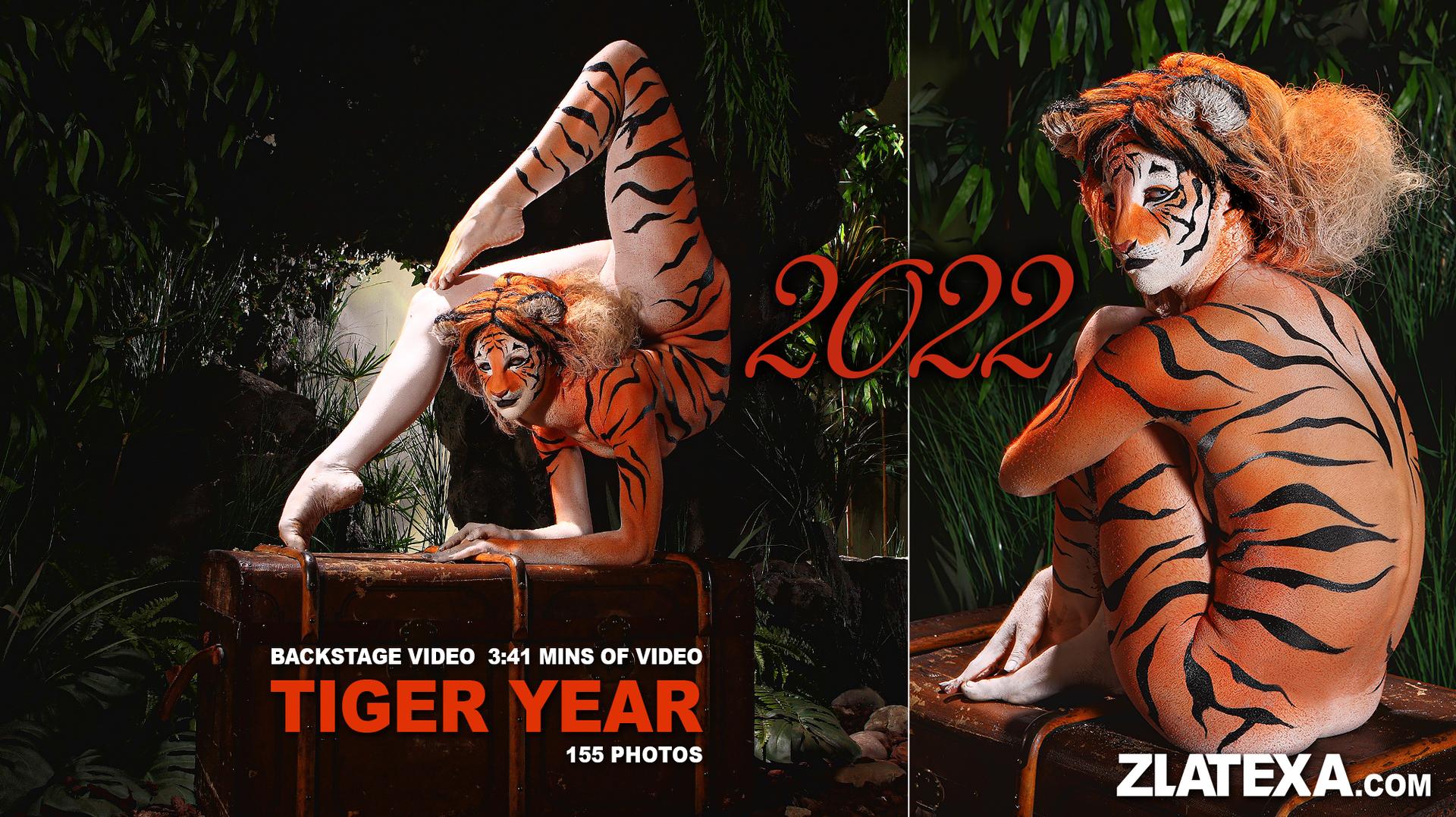 Happy New TIGER YEAR 2022