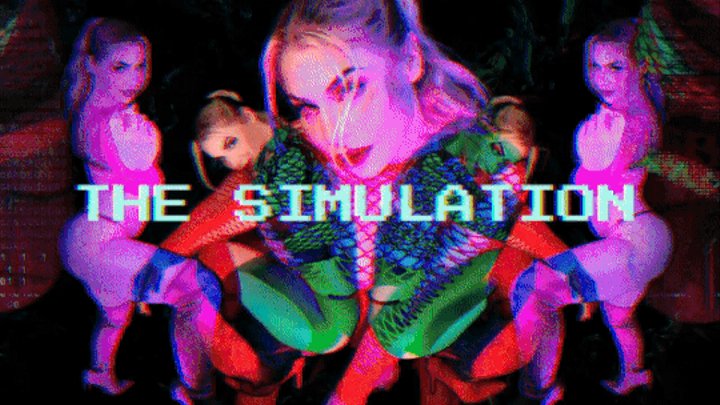 The Simulation