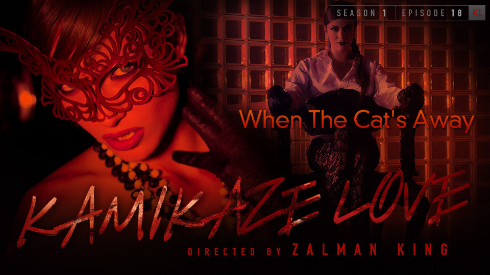 Kamikaze Love - When The Cat's Away