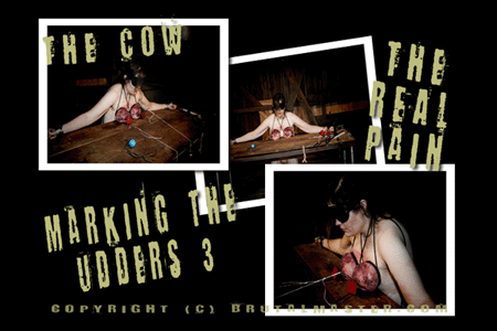 The Cow - Marking the Udders Part 3