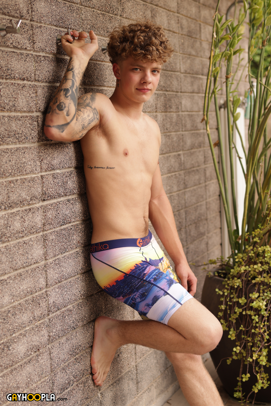 Photo HD Young Harlow - 1