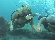 Ocean Playing