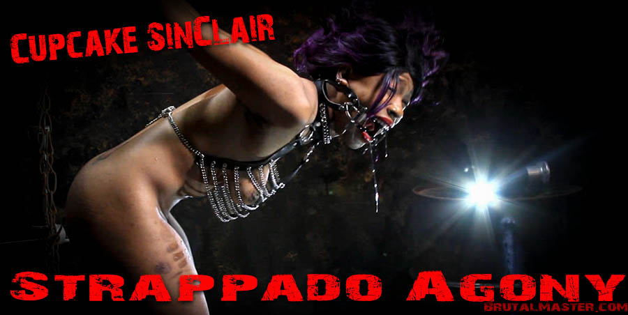 Cupcake SincCair - Strappado Agony