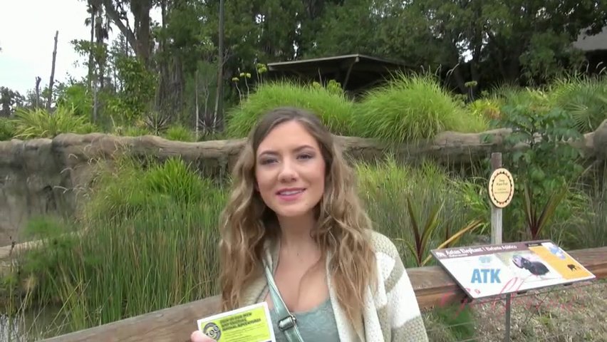 Alison Faye 1 of 3 - A date at the zoo