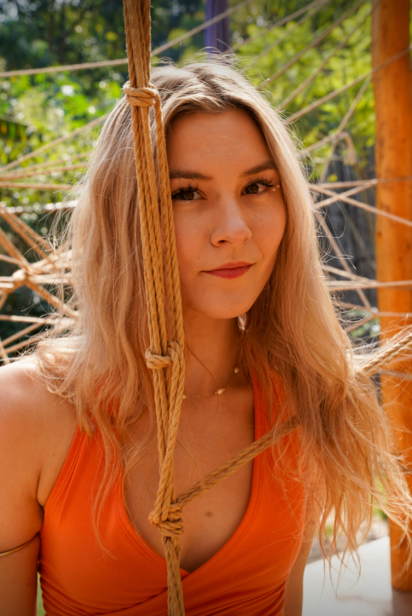 Photo HD Honey Bee - 2