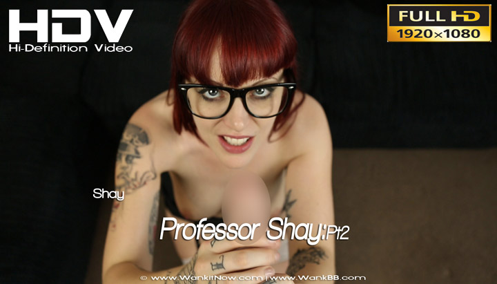 Professor Shay:Pt2