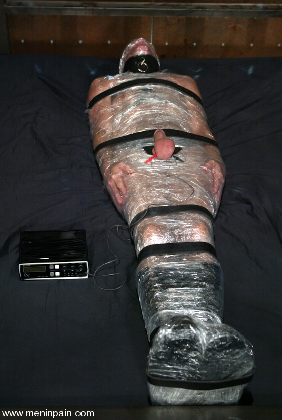 Wild Bill and Harmony