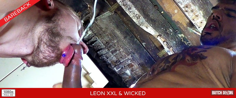 Leon XXL & Wicked