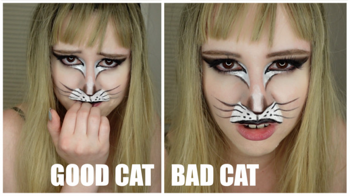 Good Cat or Bad Cat