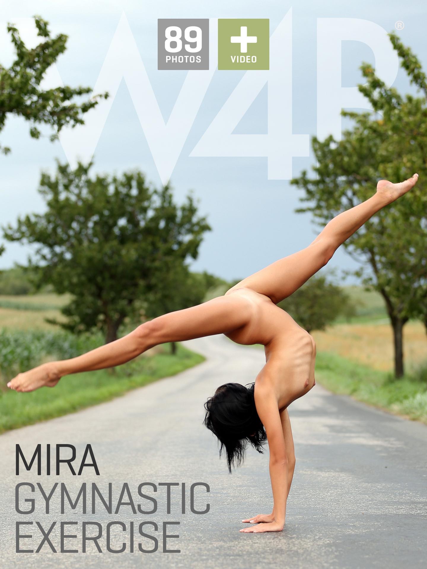 Gymnastic exercise