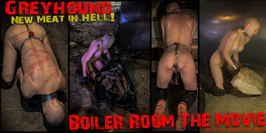 NEW MEAT Greyhound - Boiler Room Move