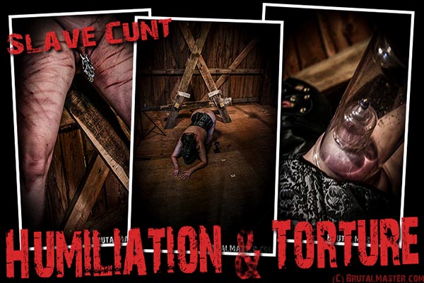 Slave Cunt - Humilation & Torture