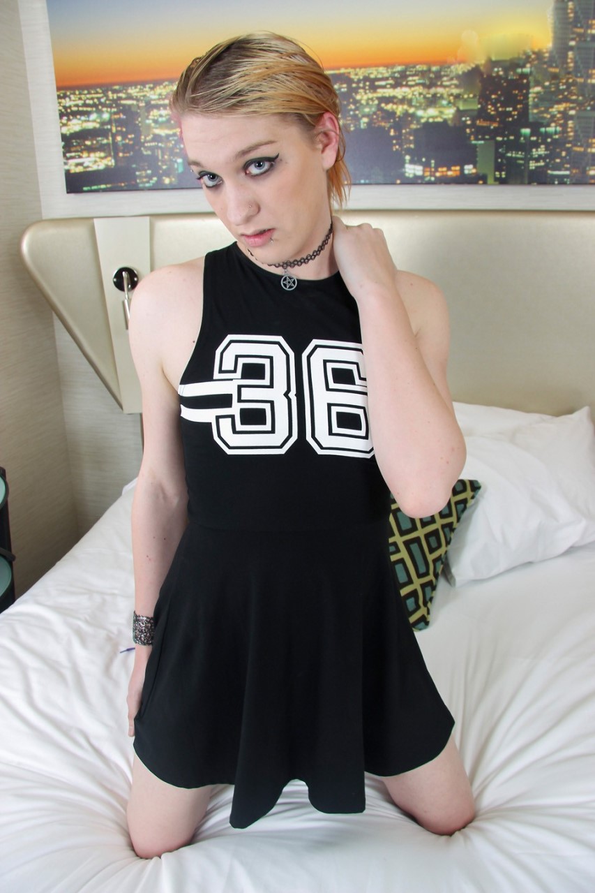 Photo HD Xena Kitty - 3