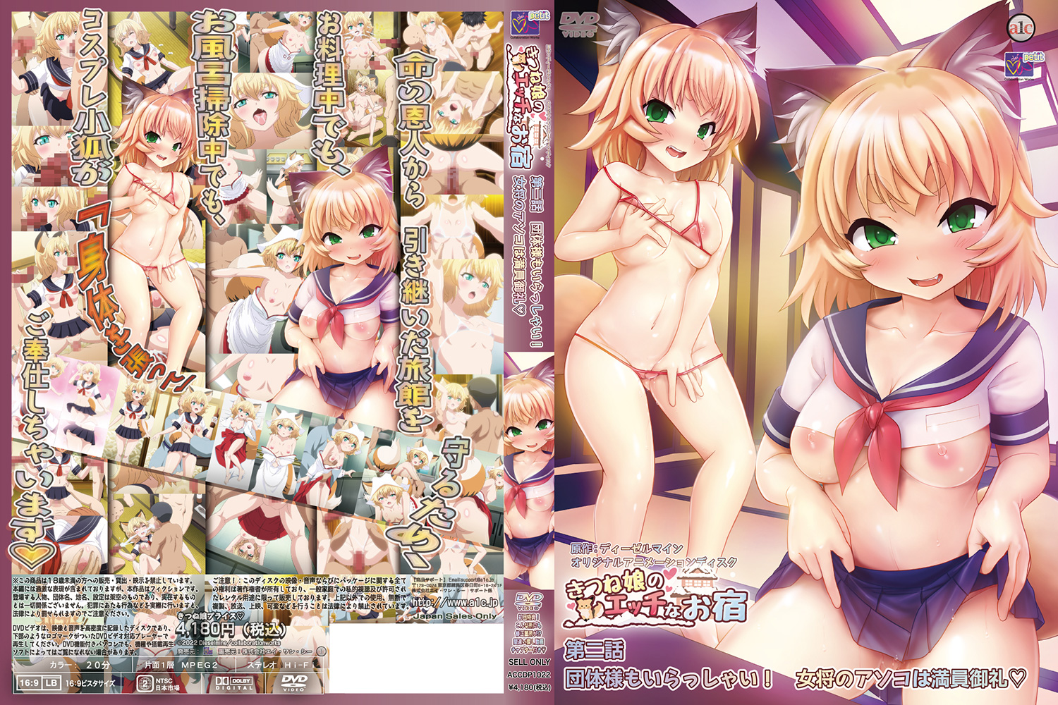 Kitsune Musume no Ecchi na Oyado 2