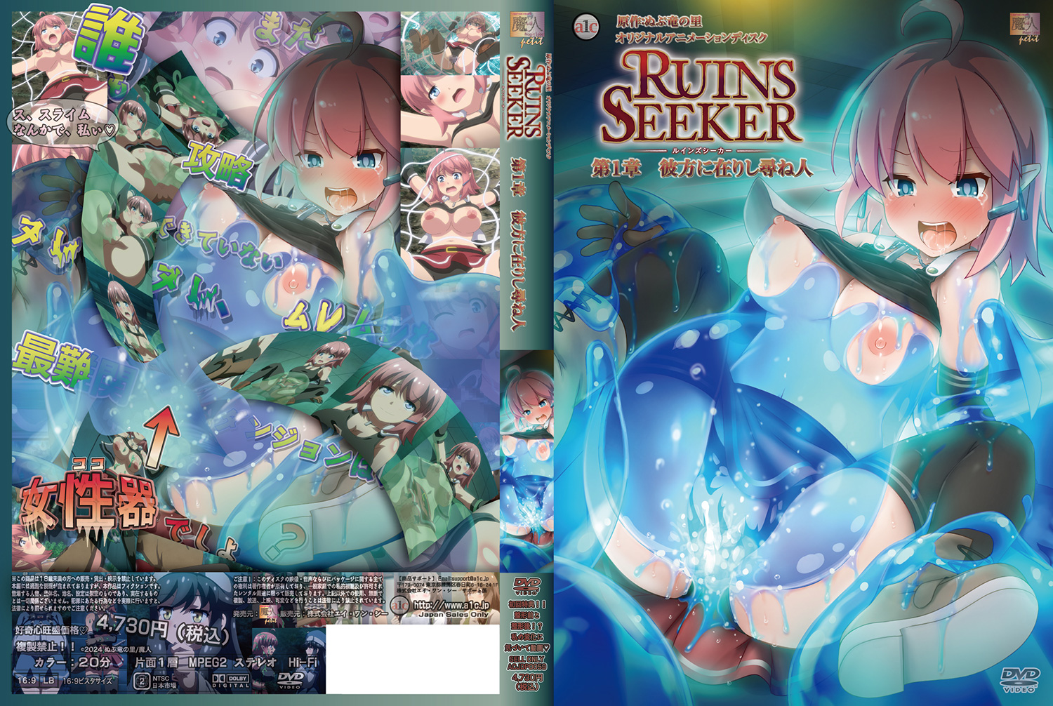 Ruins Seeker 1