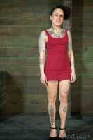 Photo HD Henna Hex - 1