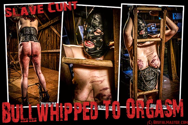 Slave Cunt - BullWhipped To Orgasm