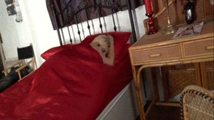 Sleepy Boobs Fun & Pussy Peeping