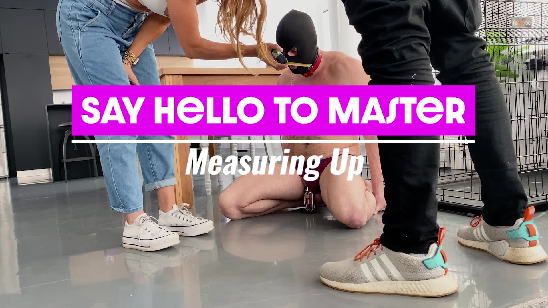 Say Hello to Masters: Measuring Up