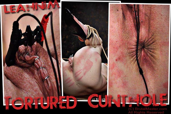 Leahnim - Tortured Cunthole