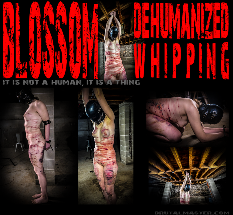 Blossom - Dehumanized Whipping