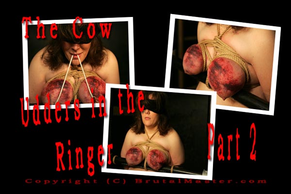 The Cow - Udders in the Ringer 2
