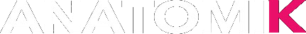 Anatomik Media