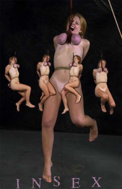Peaches Live Feed
