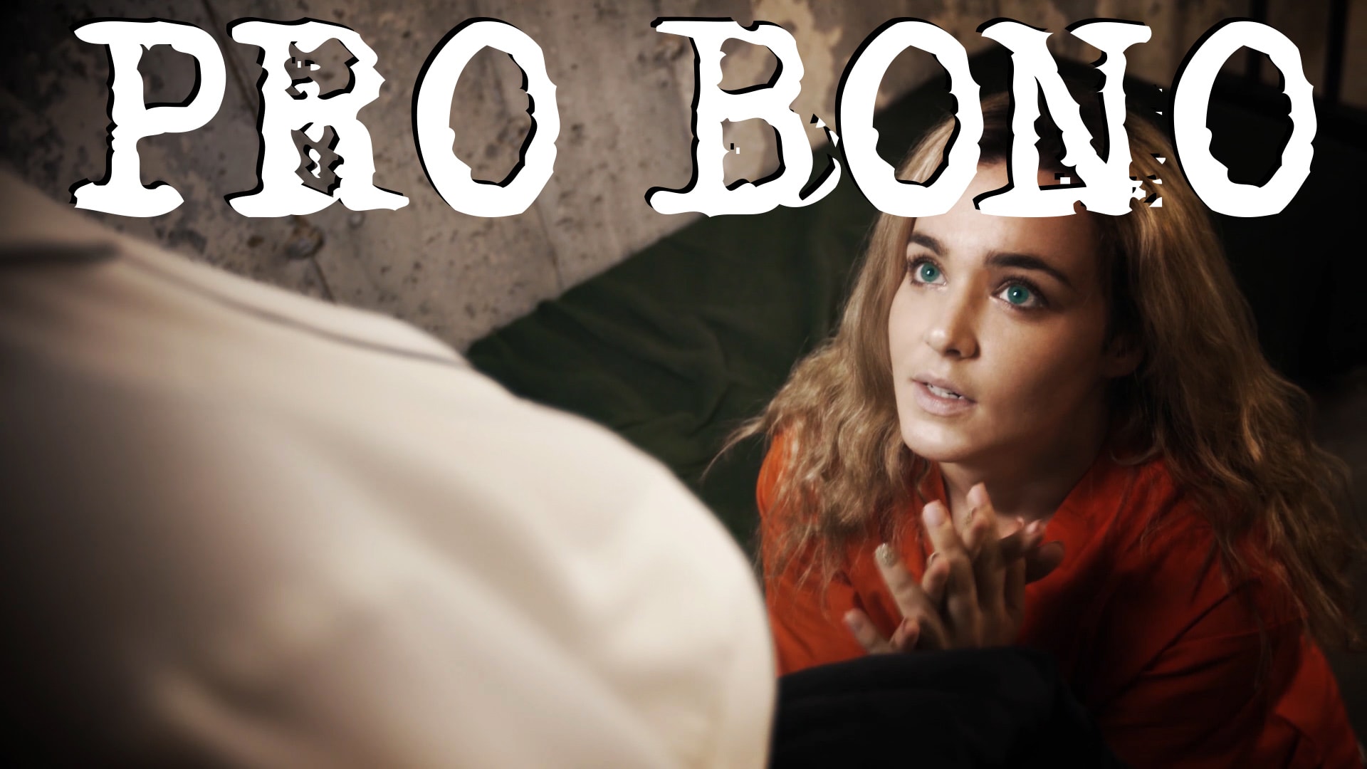 Pro Bono