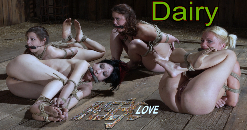 Dairy