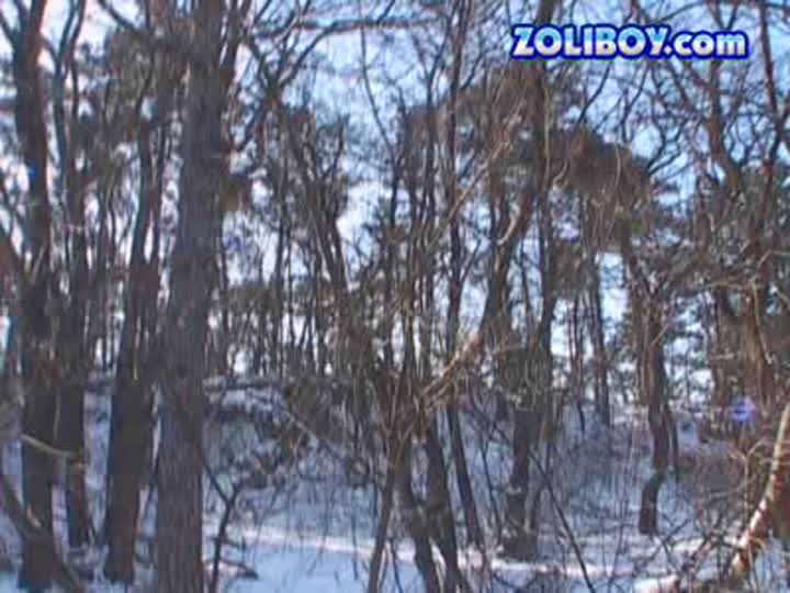 Outdoors with Electra