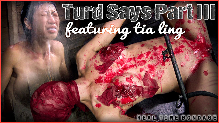 Turd Says Part Three