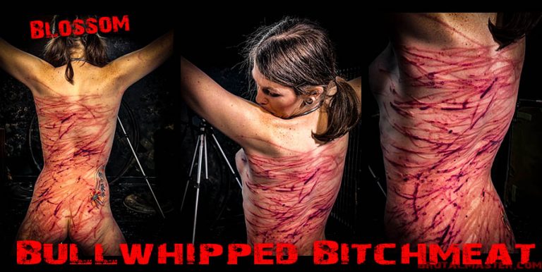 Blossom - Bullwhipped Bitchmeat