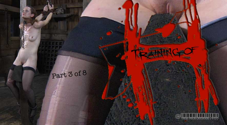 Training of H Part 3