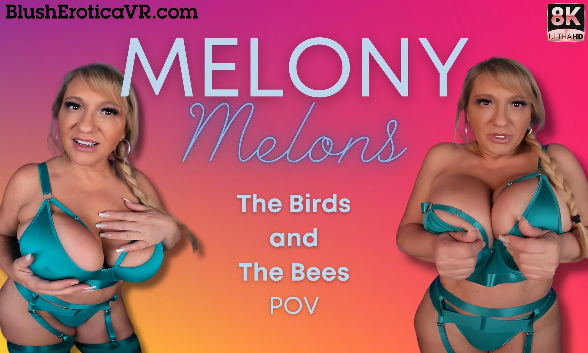 The Birds And The Bees