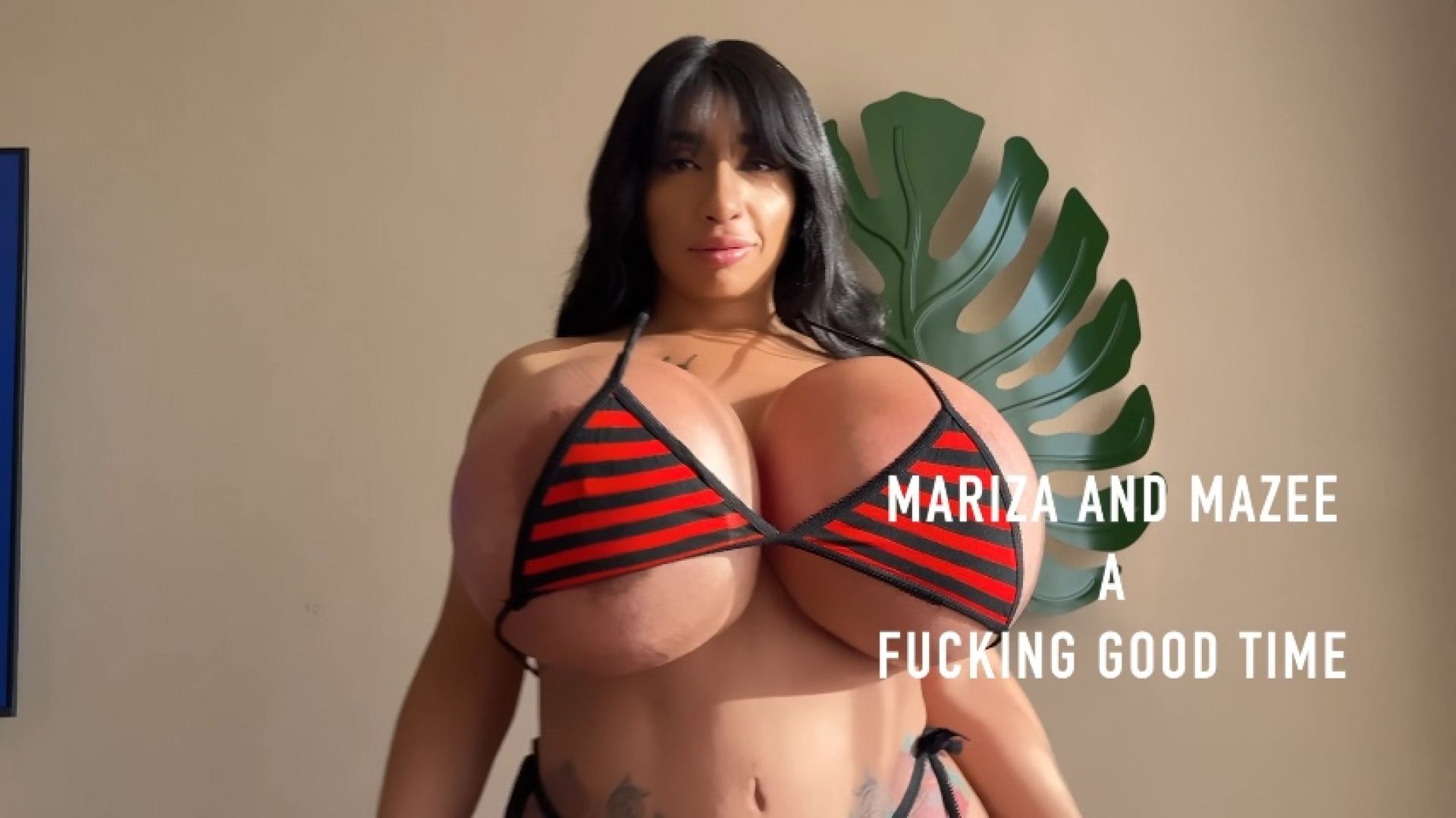 Mariza Rabbit Drains My Balls