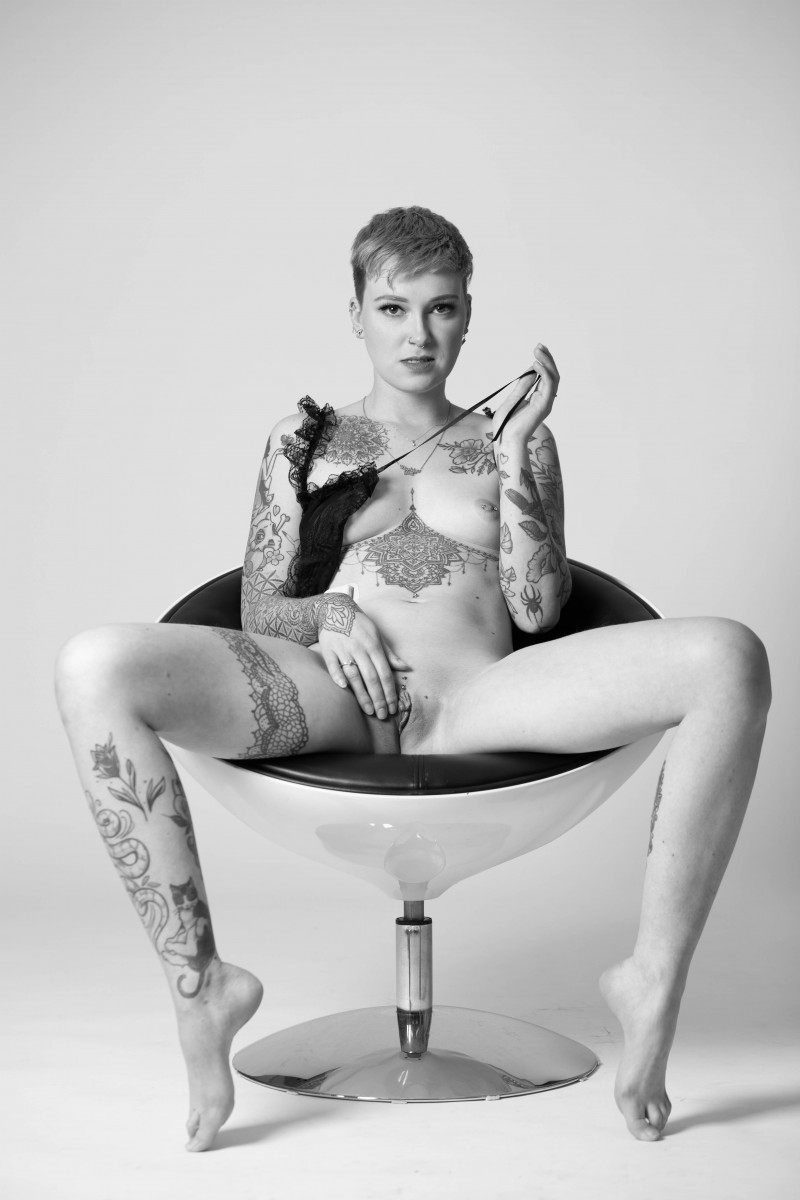 Photo HD Dandelion - 2