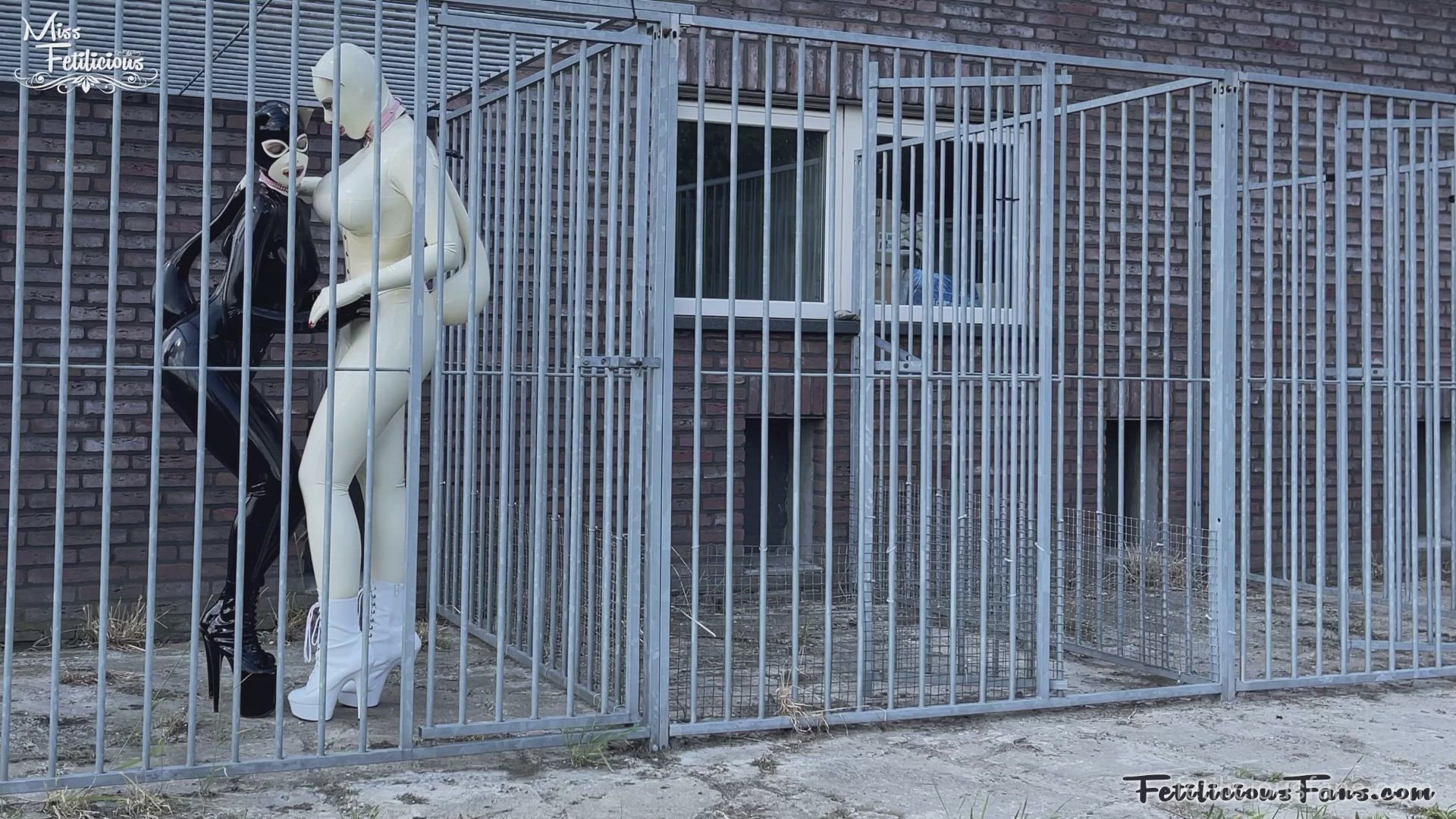 Latex kitties outdoor